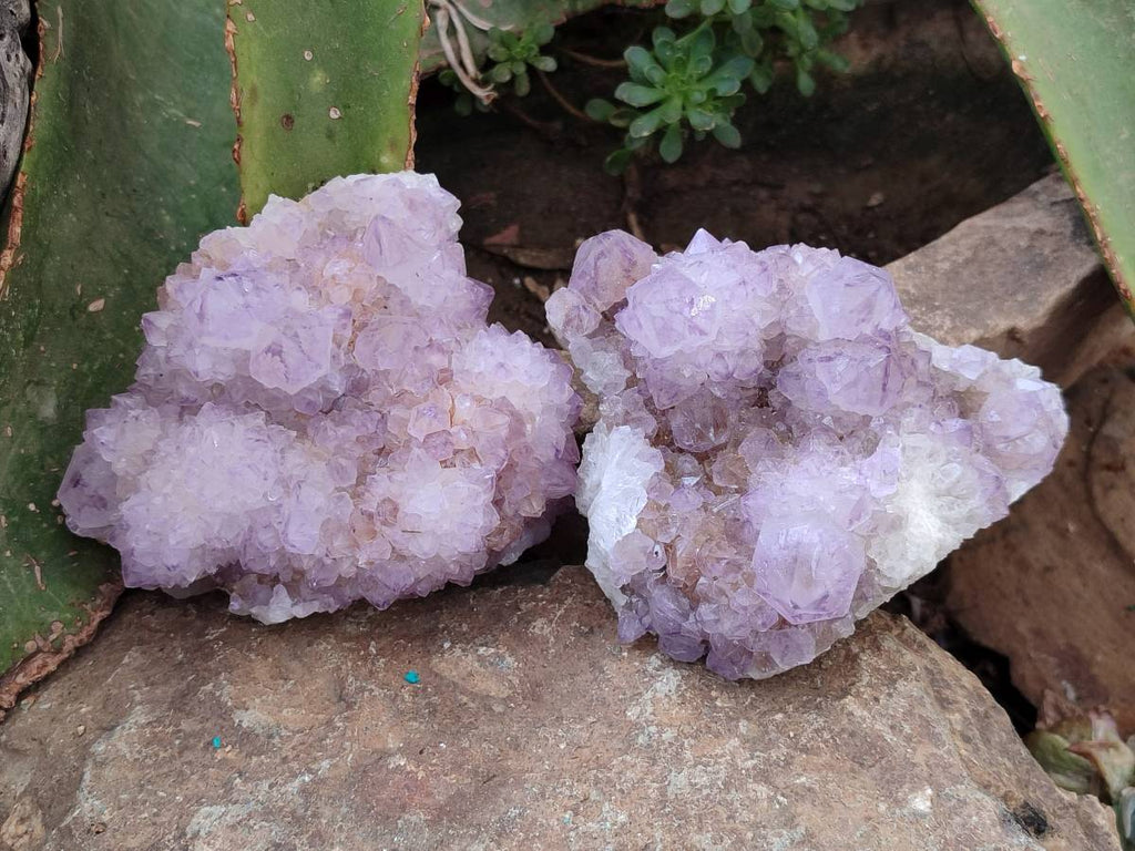 Natural Sunburst Amethyst  Spirit Quartz Clusters x 3 From Boekenhouthoek, South Africa - Toprock Gemstones and Minerals 