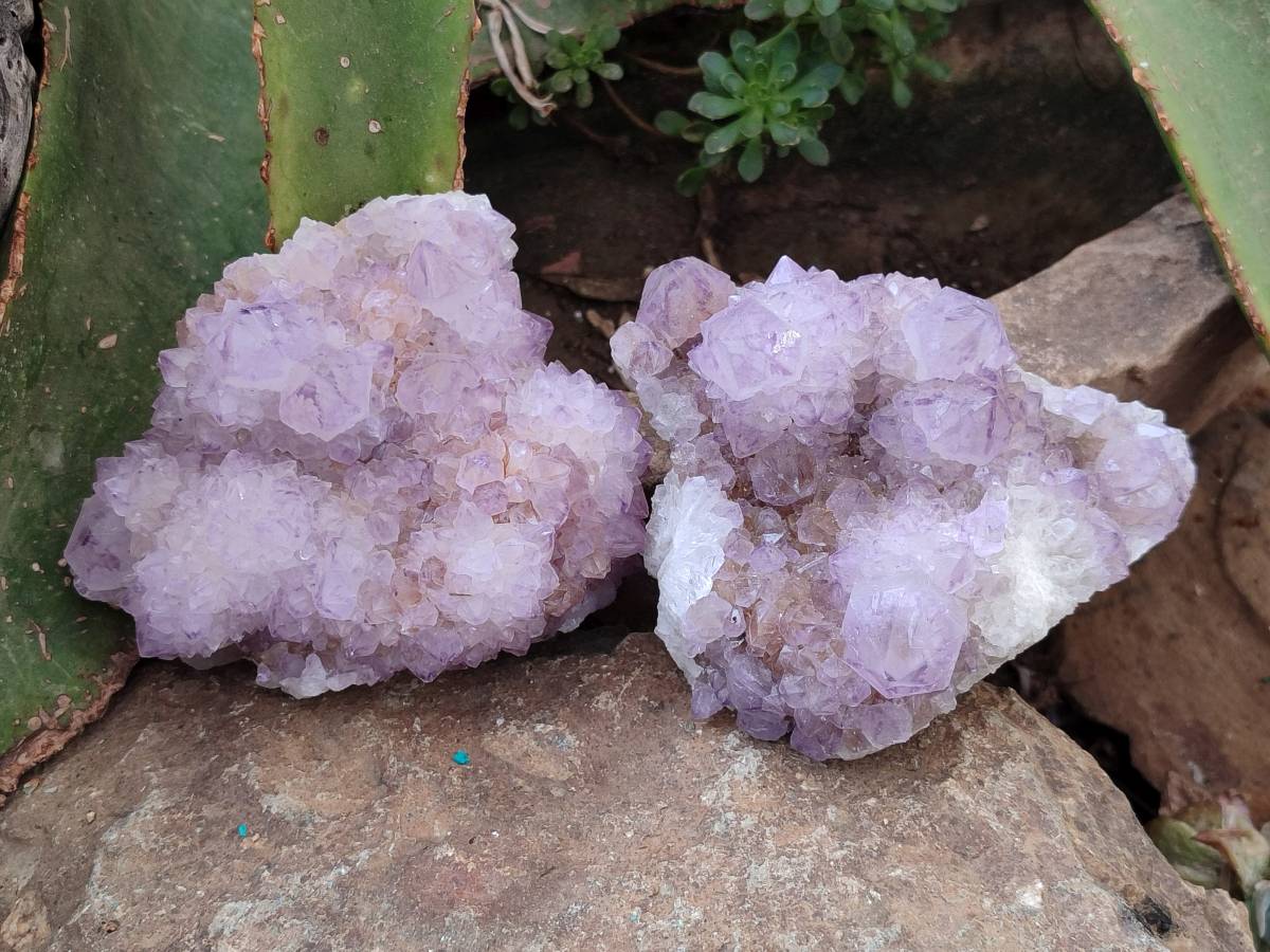 Natural Sunburst Amethyst  Spirit Quartz Clusters x 3 From Boekenhouthoek, South Africa - Toprock Gemstones and Minerals 