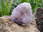 Natural Sunburst Amethyst  Spirit Quartz Clusters x 3 From Boekenhouthoek, South Africa - Toprock Gemstones and Minerals 
