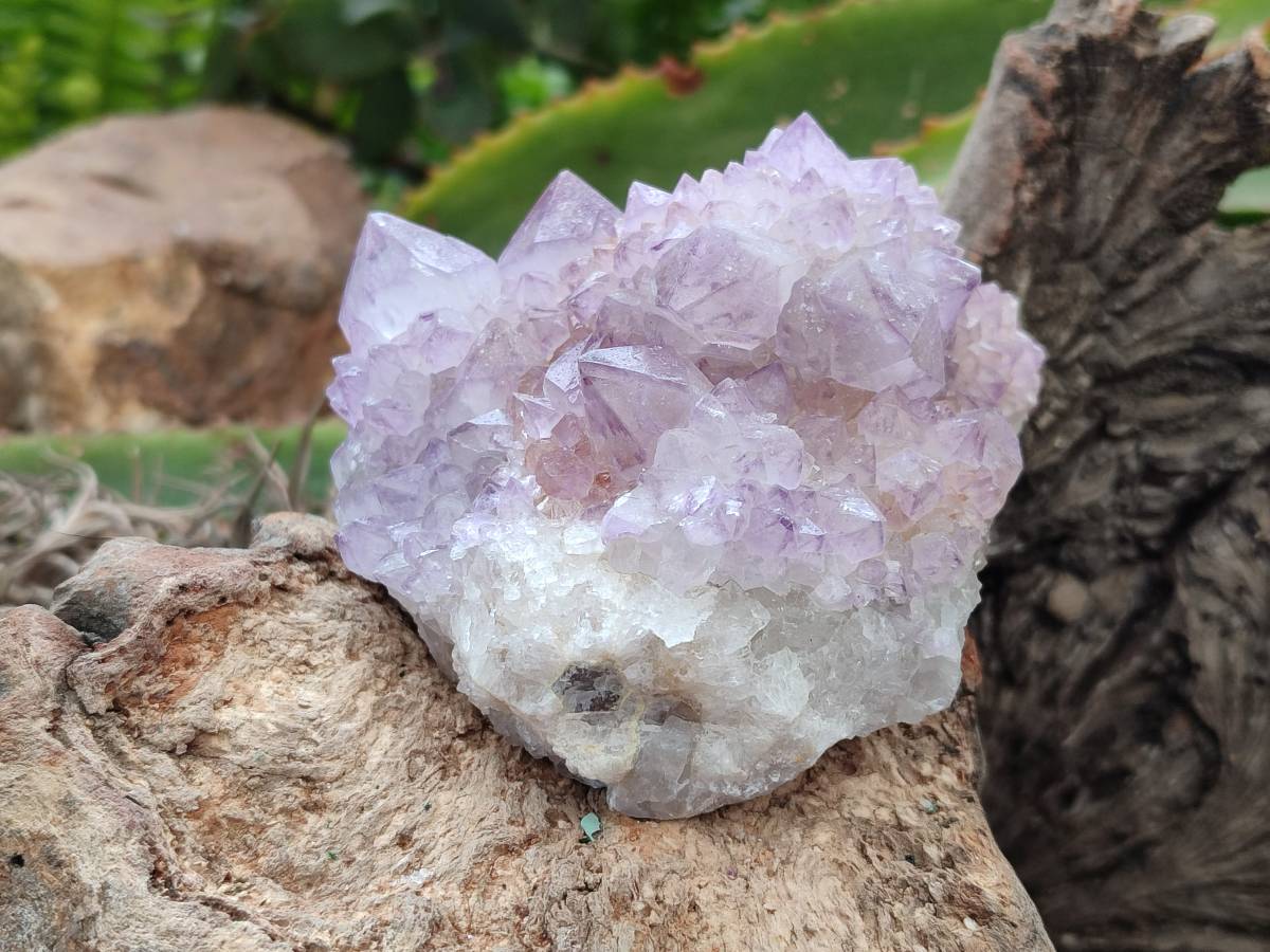 Natural Sunburst Amethyst  Spirit Quartz Clusters x 3 From Boekenhouthoek, South Africa - Toprock Gemstones and Minerals 