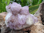Natural Sunburst Amethyst  Spirit Quartz Clusters x 3 From Boekenhouthoek, South Africa - Toprock Gemstones and Minerals 