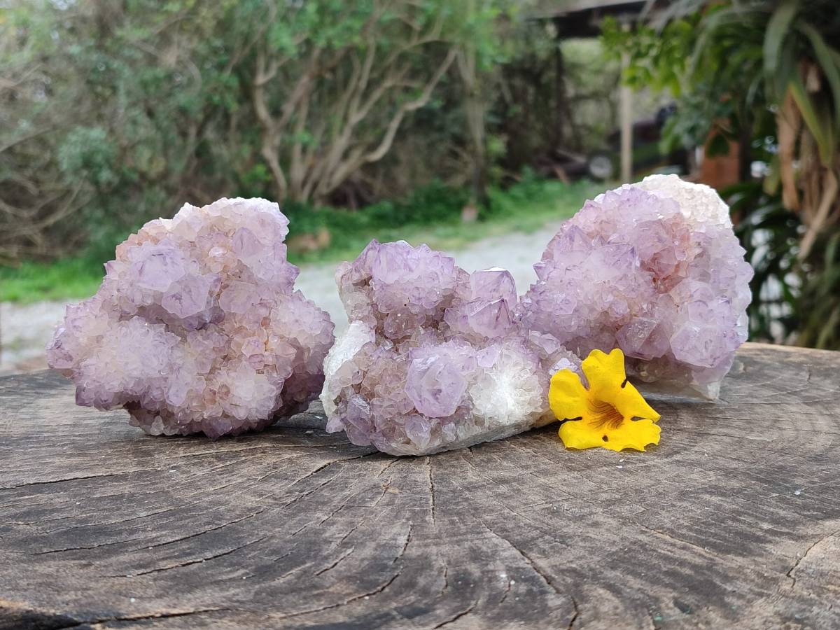 Natural Sunburst Amethyst  Spirit Quartz Clusters x 3 From Boekenhouthoek, South Africa - Toprock Gemstones and Minerals 