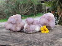 Natural Sunburst Amethyst  Spirit Quartz Clusters x 3 From Boekenhouthoek, South Africa