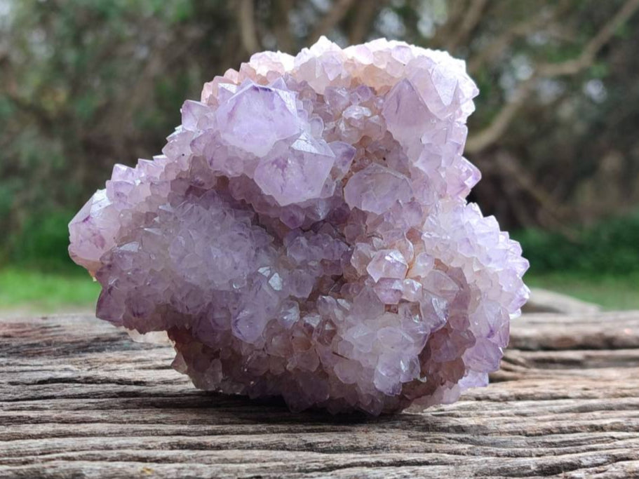 Natural Sunburst Amethyst  Spirit Quartz Clusters x 3 From Boekenhouthoek, South Africa - Toprock Gemstones and Minerals 