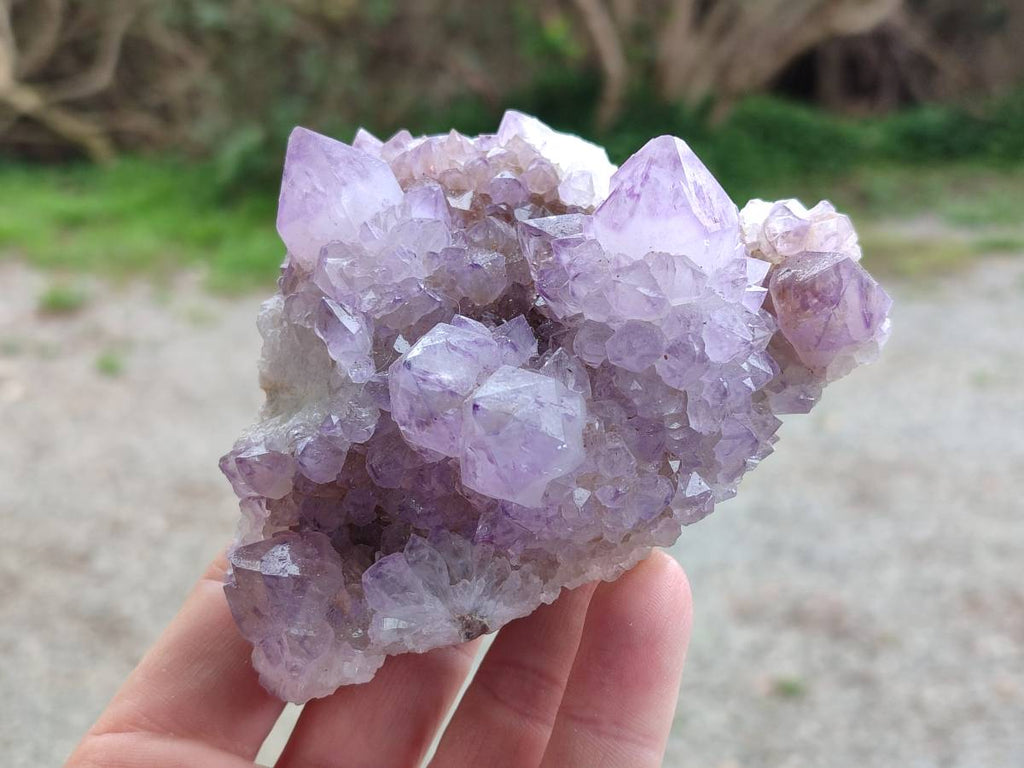 Natural Sunburst Amethyst  Spirit Quartz Clusters x 3 From Boekenhouthoek, South Africa - Toprock Gemstones and Minerals 