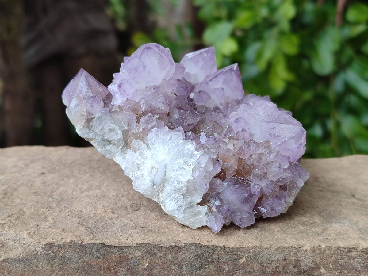Natural Sunburst Amethyst  Spirit Quartz Clusters x 3 From Boekenhouthoek, South Africa - Toprock Gemstones and Minerals 