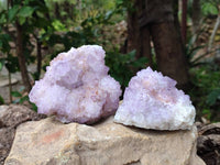Natural Sunburst Amethyst  Spirit Quartz Clusters x 3 From Boekenhouthoek, South Africa