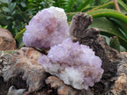 Natural Sunburst Amethyst  Spirit Quartz Clusters x 3 From Boekenhouthoek, South Africa - Toprock Gemstones and Minerals 