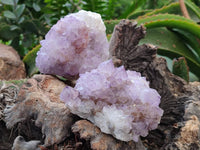 Natural Sunburst Amethyst  Spirit Quartz Clusters x 3 From Boekenhouthoek, South Africa