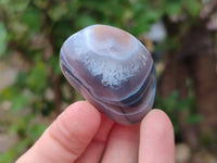 Polished Red Sashe River Agate Free Forms x 23 From Sashe River, Zimbabwe