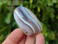 Polished Red Sashe River Agate Free Forms x 23 From Sashe River, Zimbabwe