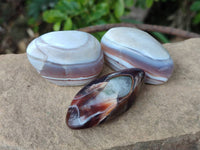 Polished Red Sashe River Agate Free Forms x 23 From Sashe River, Zimbabwe