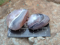 Polished Red Sashe River Agate Free Forms x 23 From Sashe River, Zimbabwe