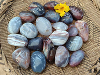 Polished Red Sashe River Agate Free Forms x 23 From Sashe River, Zimbabwe