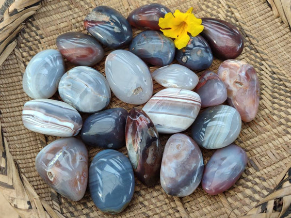 Polished Red Sashe River Agate Free Forms x 23 From Sashe River, Zimbabwe