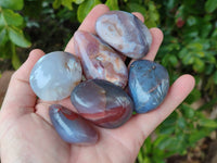 Polished Red Sashe River Agate Free Forms x 23 From Sashe River, Zimbabwe
