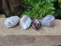 Polished Red Sashe River Agate Free Forms x 23 From Sashe River, Zimbabwe
