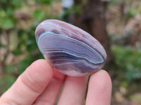 Polished Red Sashe River Agate Free Forms x 23 From Sashe River, Zimbabwe