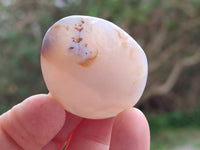 Polished Red Sashe River Agate Free Forms x 23 From Sashe River, Zimbabwe