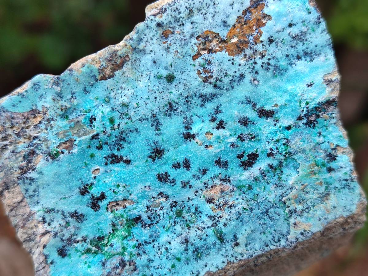 Natural Drusy Coated Chrysocolla With Malachite on Dolomite Specimens x 4 From Lupoto Mine, Congo - Toprock Gemstones and Minerals 