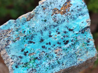 Natural Drusy Coated Chrysocolla With Malachite on Dolomite Specimens x 4 From Lupoto Mine, Congo