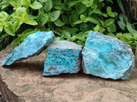 Natural Drusy Coated Chrysocolla With Malachite on Dolomite Specimens x 4 From Lupoto Mine, Congo