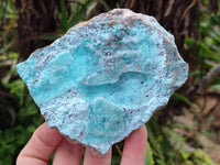 Natural Drusy Coated Chrysocolla With Malachite on Dolomite Specimens x 4 From Lupoto Mine, Congo