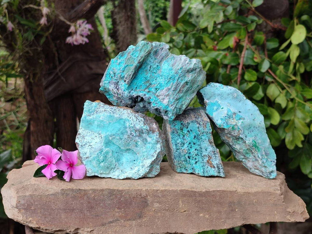 Natural Drusy Coated Chrysocolla With Malachite on Dolomite Specimens x 4 From Lupoto Mine, Congo - Toprock Gemstones and Minerals 