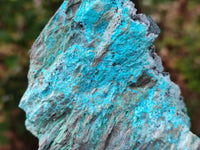 Natural Drusy Coated Chrysocolla With Malachite on Dolomite Specimens x 4 From Lupoto Mine, Congo