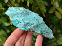 Natural Drusy Coated Chrysocolla With Malachite on Dolomite Specimens x 4 From Lupoto Mine, Congo