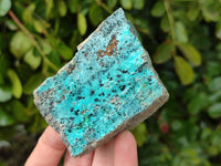 Natural Drusy Coated Chrysocolla With Malachite on Dolomite Specimens x 4 From Lupoto Mine, Congo