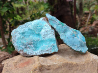 Natural Drusy Coated Chrysocolla With Malachite on Dolomite Specimens x 4 From Lupoto Mine, Congo