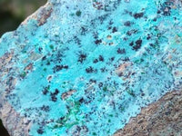 Natural Drusy Coated Chrysocolla With Malachite on Dolomite Specimens x 4 From Lupoto Mine, Congo
