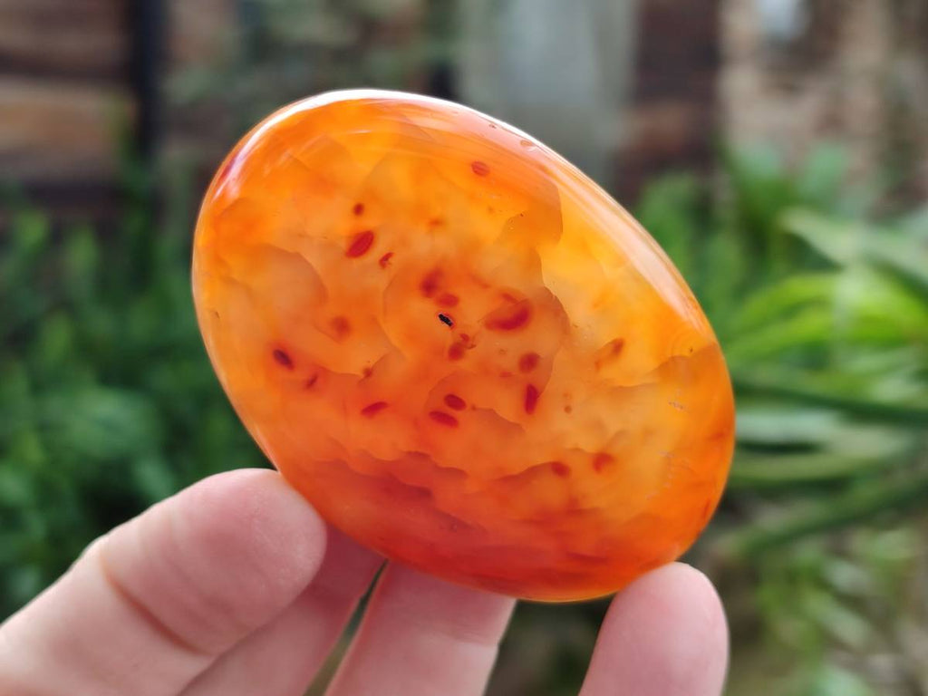 Polished Carnelian Agate Gemstone Galets x 20 From Madagascar - Toprock Gemstones and Minerals 