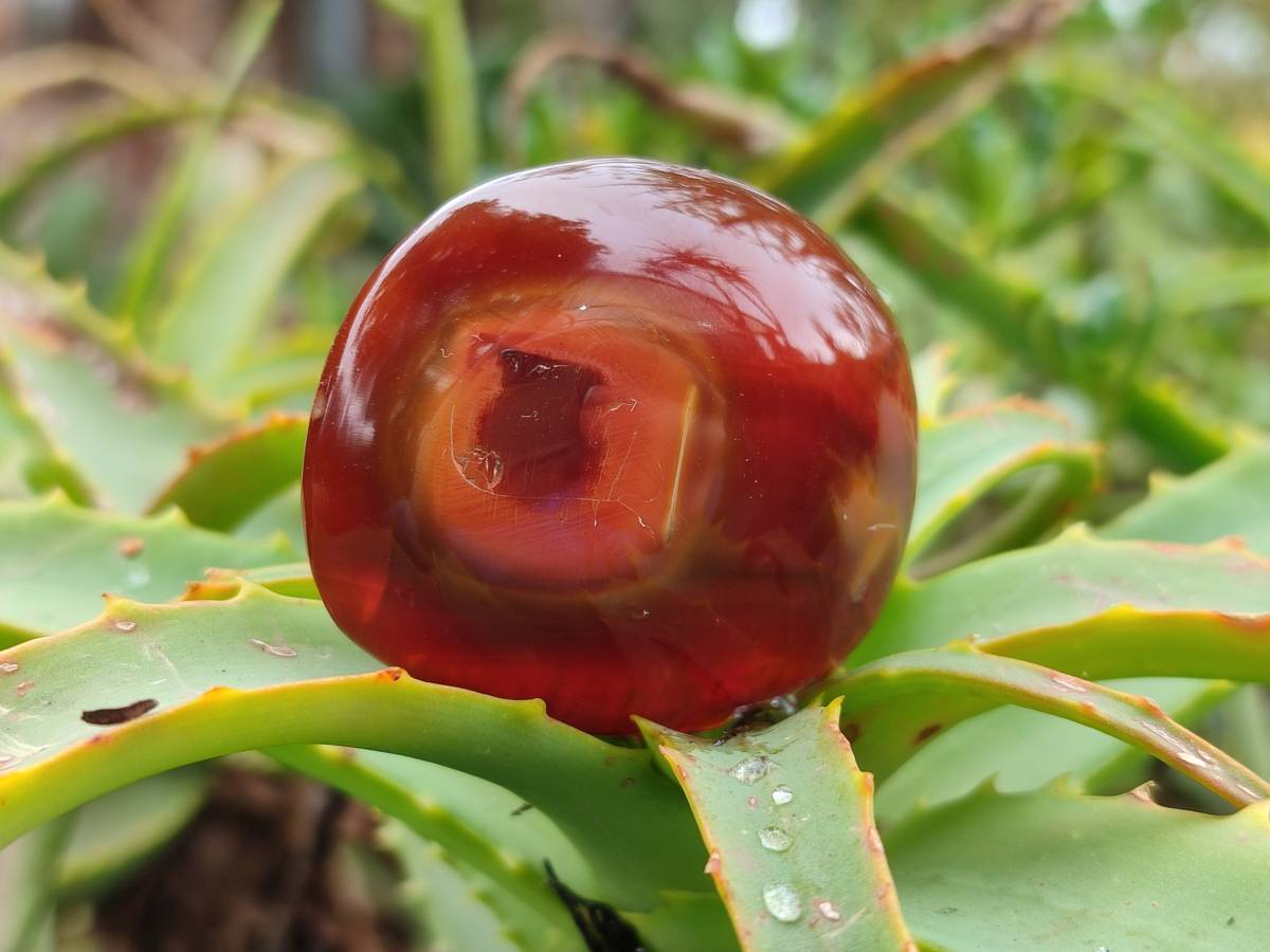 Polished Carnelian Agate Gemstone Galets x 20 From Madagascar - Toprock Gemstones and Minerals 