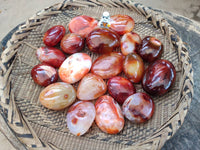 Polished Carnelian Agate Gemstone Galets x 20 From Madagascar