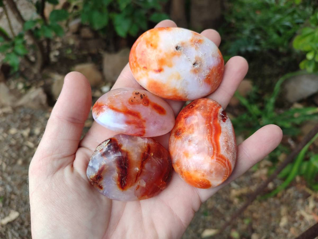 Polished Carnelian Agate Gemstone Galets x 20 From Madagascar - Toprock Gemstones and Minerals 
