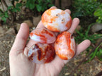 Polished Carnelian Agate Gemstone Galets x 20 From Madagascar - Toprock Gemstones and Minerals 