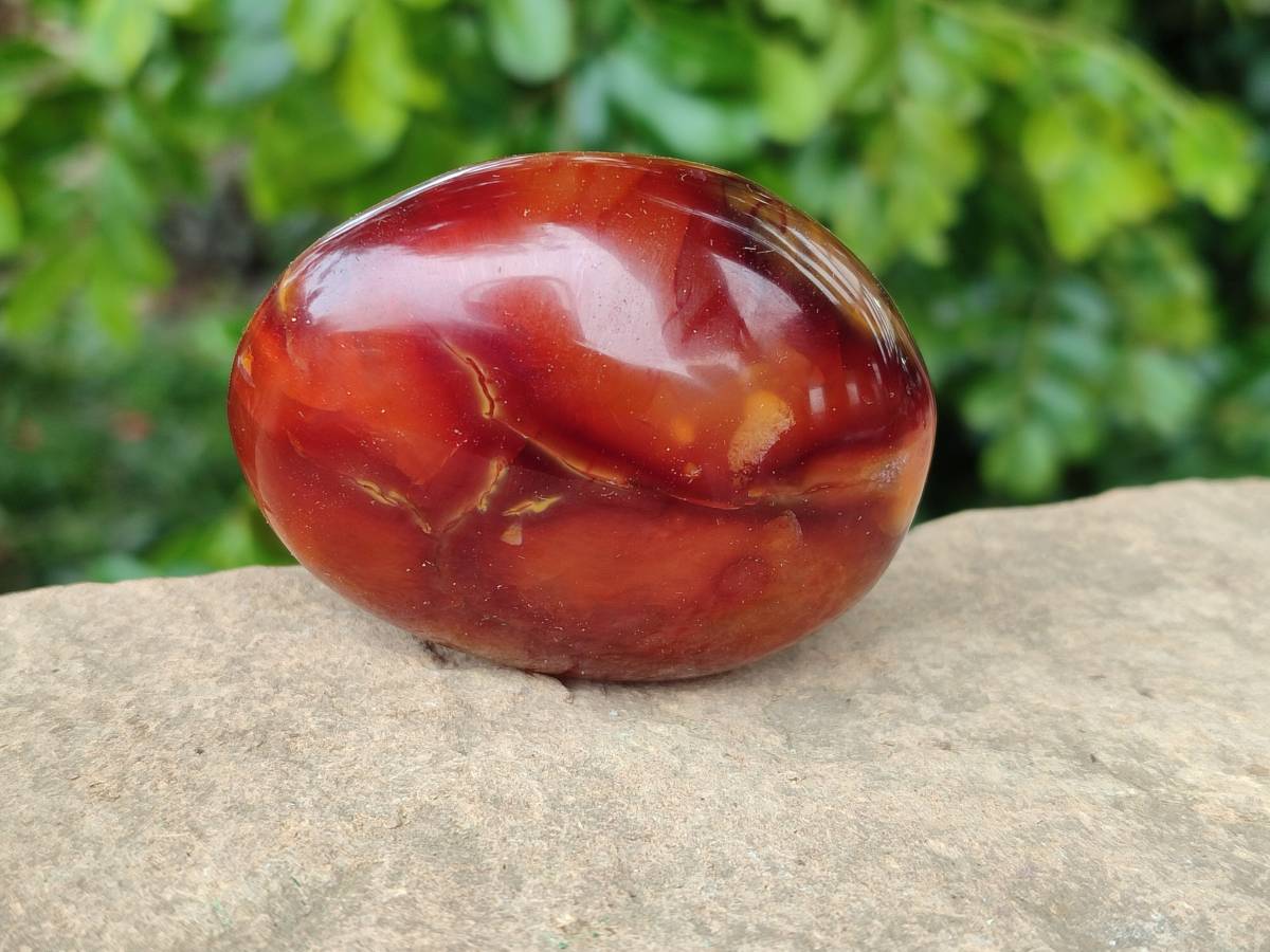 Polished Carnelian Agate Gemstone Galets x 20 From Madagascar - Toprock Gemstones and Minerals 