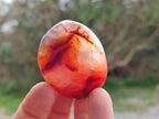 Polished Carnelian Agate Gemstone Galets x 20 From Madagascar - Toprock Gemstones and Minerals 