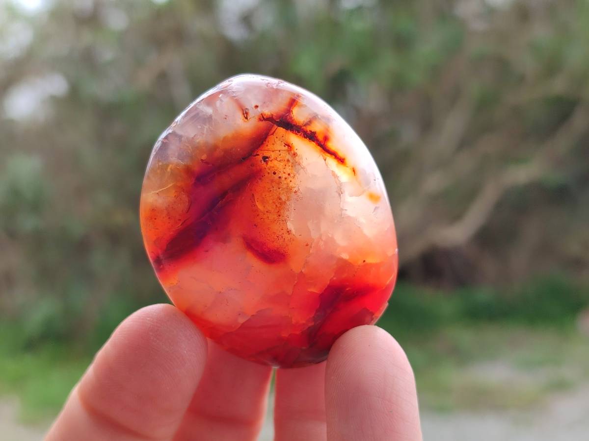 Polished Carnelian Agate Gemstone Galets x 20 From Madagascar - Toprock Gemstones and Minerals 
