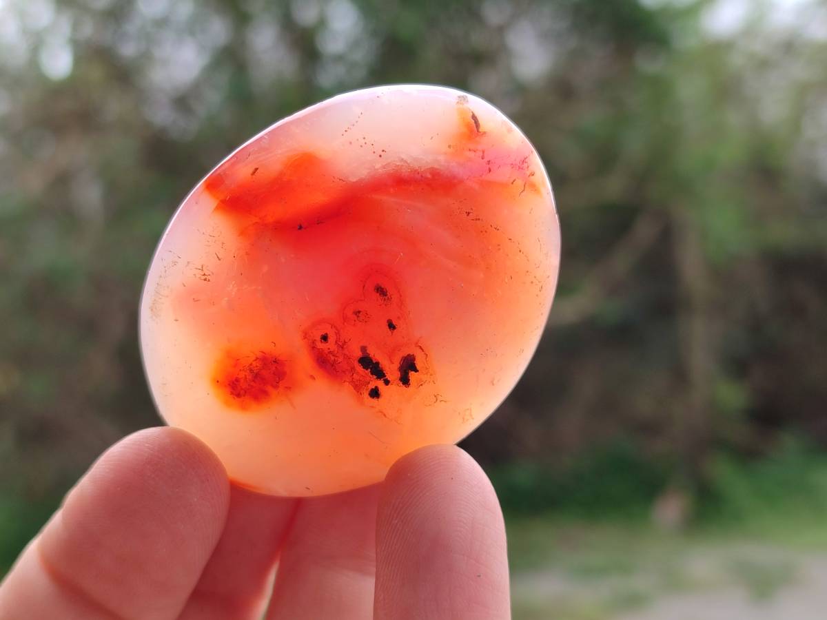 Polished Carnelian Agate Gemstone Galets x 20 From Madagascar - Toprock Gemstones and Minerals 