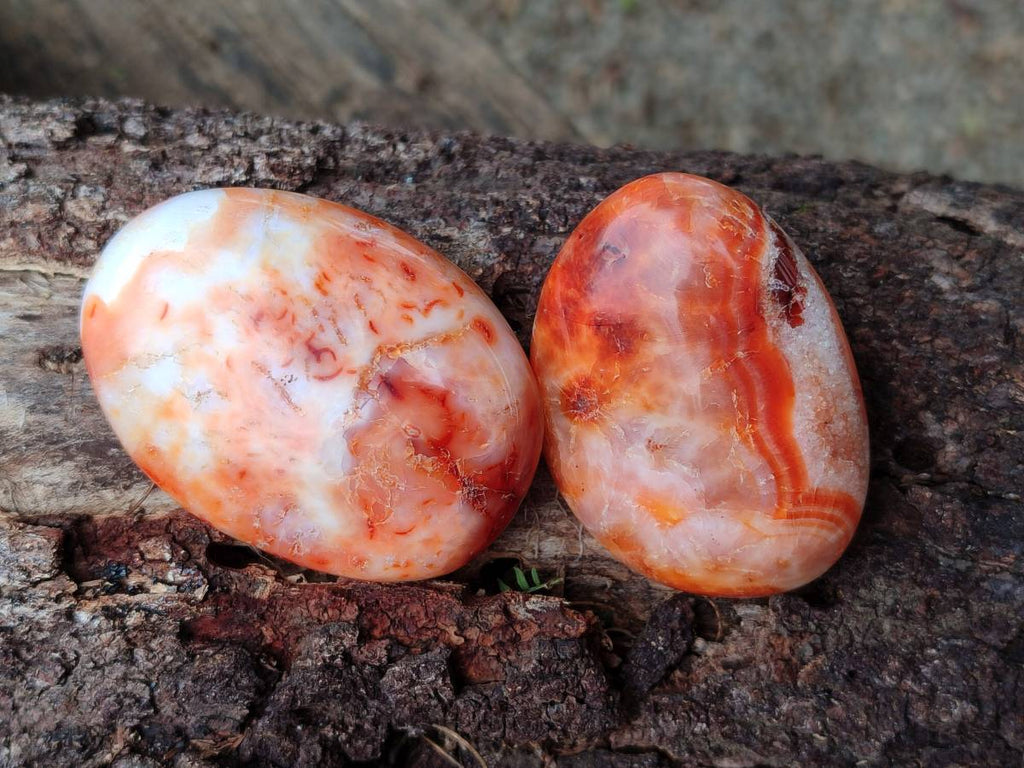 Polished Carnelian Agate Gemstone Galets x 20 From Madagascar - Toprock Gemstones and Minerals 