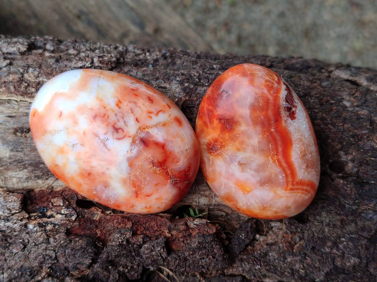 Polished Carnelian Agate Gemstone Galets x 20 From Madagascar - Toprock Gemstones and Minerals 
