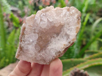 Natural Zululand Amethyst Geodes x 12 from Jozini, South Africa