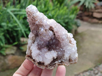 Natural Zululand Amethyst Geodes x 12 from Jozini, South Africa