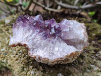 Natural Zululand Amethyst Geodes x 12 from Jozini, South Africa