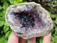Natural Zululand Amethyst Geodes x 12 from Jozini, South Africa