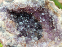 Natural Zululand Amethyst Geodes x 12 from Jozini, South Africa