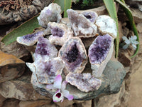 Natural Zululand Amethyst Geodes x 12 from Jozini, South Africa